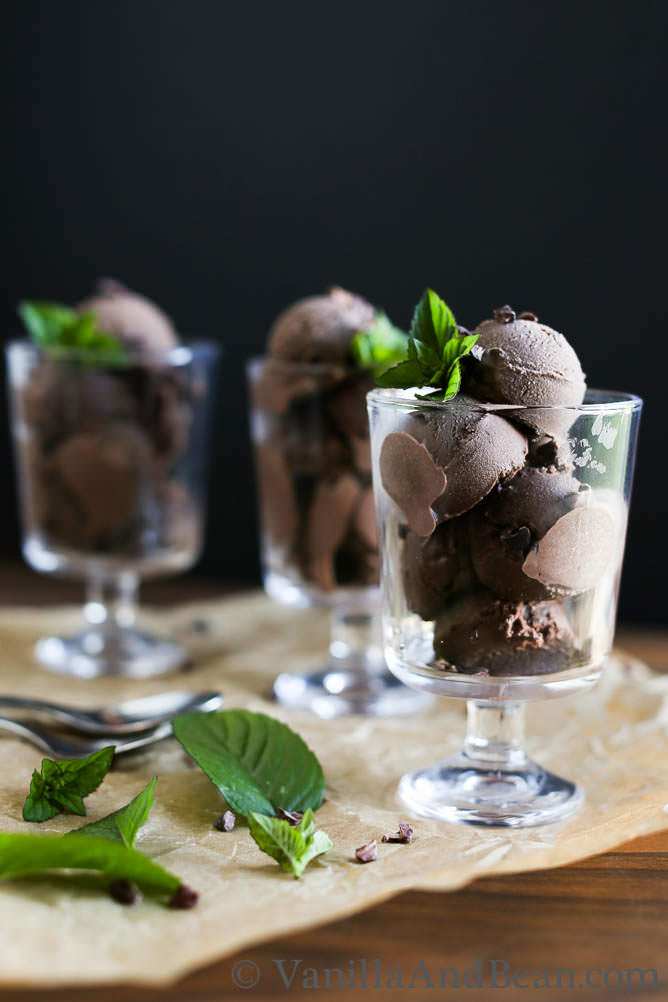 Dark chocolate ice cream cocoa nib 